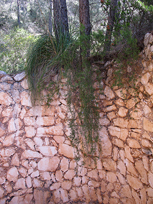 Untitled, Mallorca, photograph, 2013.