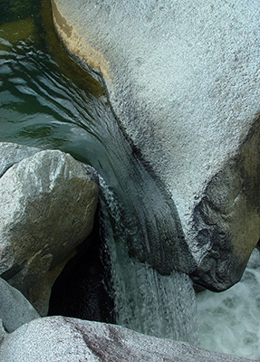 Untitled, El Yunque, Puerto Rico, photograph, 2006.
