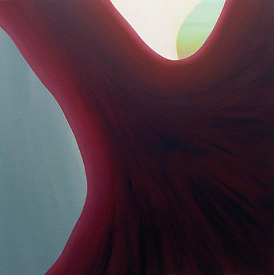 Untitled,  acrylic on canvas, 86 x 86 cm. 2009.