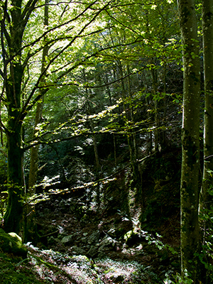 Untitled, Arantzazu, Basque Country, photograph, 2013.