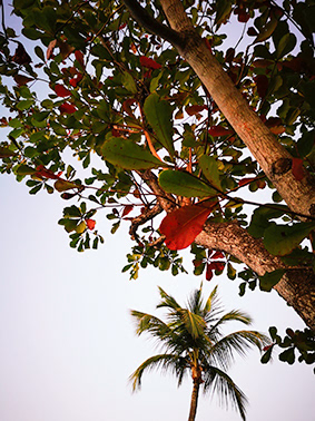 Untitled, Dorado, Puerto Rico, photograph, 2019.