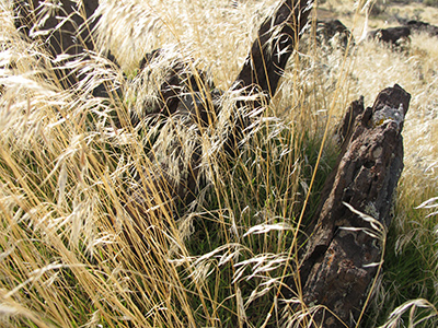 Untitled, Utah, USA, photograph, 2016.