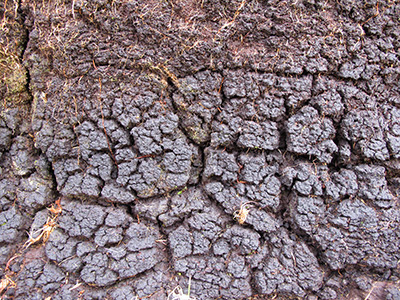 Untitled, County Mayo, Ireland, photograph, 2015.