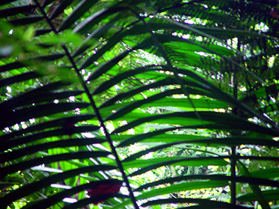 Untitled, Puerto Rico, photograph, 2003.