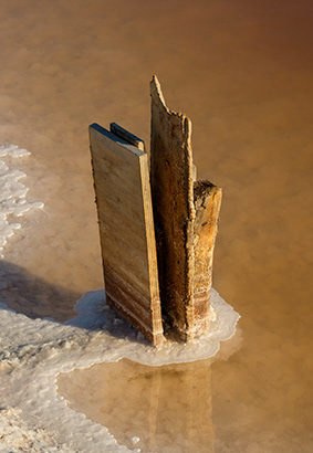 Untitled, Marismas del Odiel, Huelva,  Photograph. 2020.