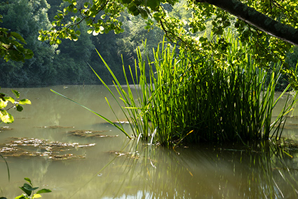 Untitled, Uribe Kosta, Basque Country, photograph, 2019.