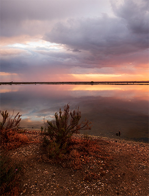 Untitled, Marismas del Odiel, Huelva, photograph, 2018.