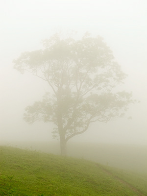 Untitled, Larrun, France, photograph, 2018.