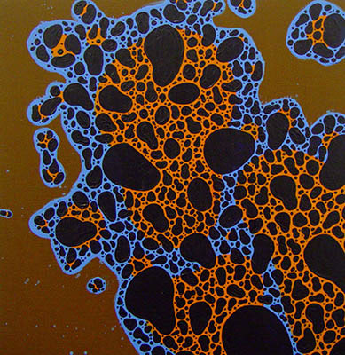 Untitled,  acrylic on wood. 2005.