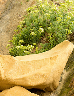 Untitled, Getxo, Basque Country,  Photograph, 2021.