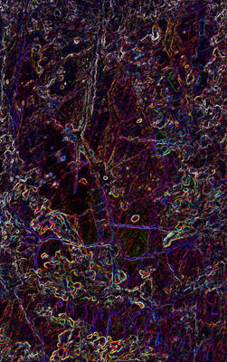 Untitled,  photograph. 2005.