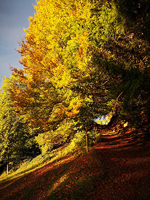 Untitled, Pfänder, Austria, photograph, 2018.