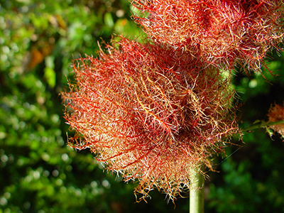 Untitled, Le Moustier, France, photograph, 2007.