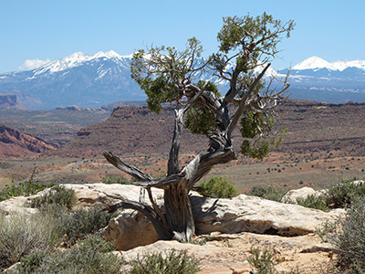 Untitled, Utah, USA, photograph, 2011.