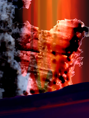 Untitled, photograph, 120 x 90 cm. 2010.