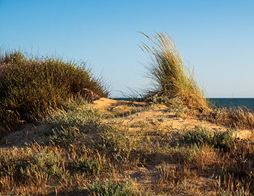 Untitled, Huelva, photograph, 2019.