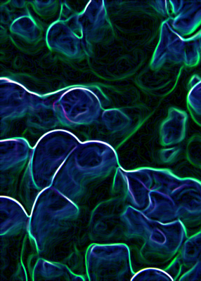 Untitled,  photograph, 140 x 100 cm. 2006.