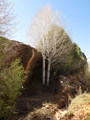 Untitled, Utah, USA, photograph, 2011.