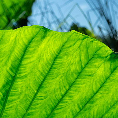 Untitled, Puerto Rico, photograph, 2022.