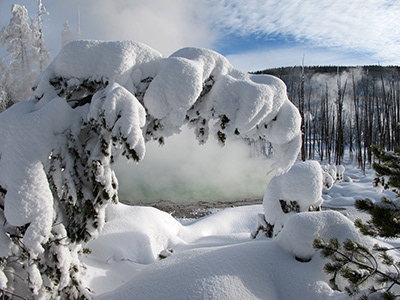 Untitled, Yellowstone, Usa, Photograph, 2010.