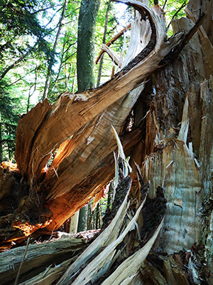 Untitled, Pfänder, Austria, photograph, 2018.