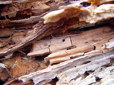 Untitled, Uribe Kosta, Basque Country, photograph, 2003.