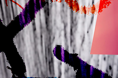 Untitled, photograph, 2023. 