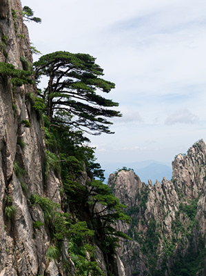 Untitled, Huangshan, China, photograph, 2013.
