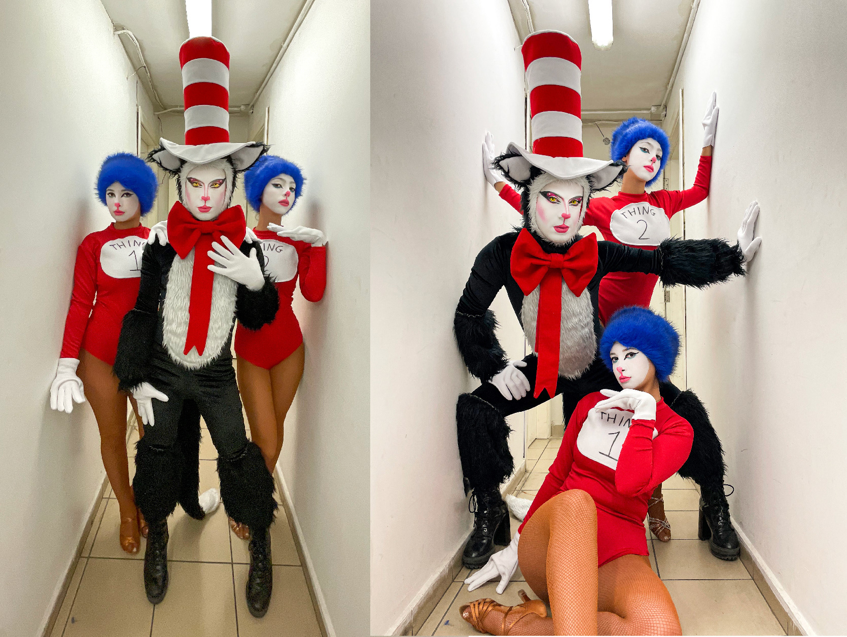 Cat In the hat - 2024