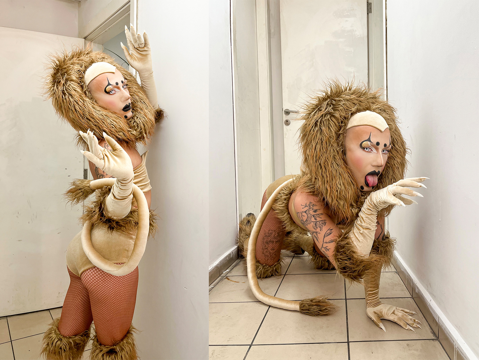Lion King - UFO Club 2023