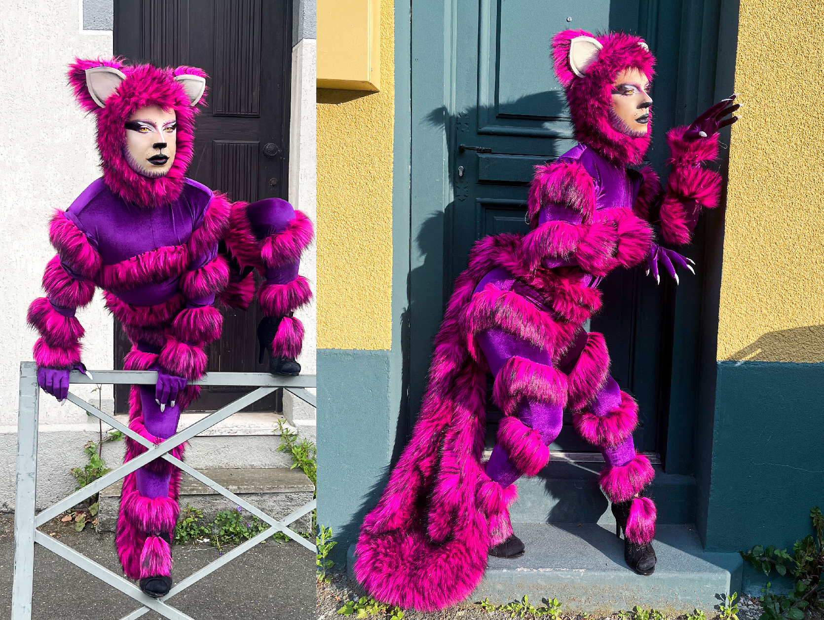 Cheshire Cat - 20204