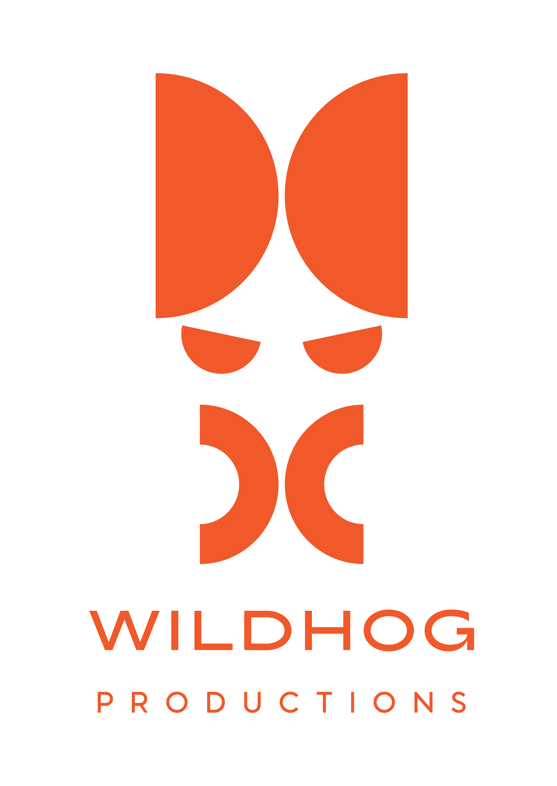 Wildhog Productions Oy - About Us