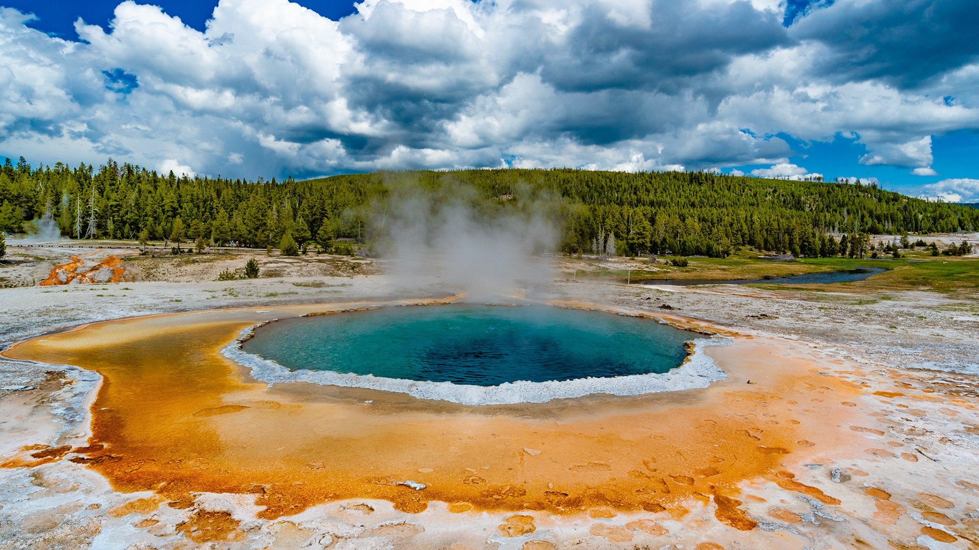 Located in the Upper Geyser Basin of Yellowstone National Park. (#s804)