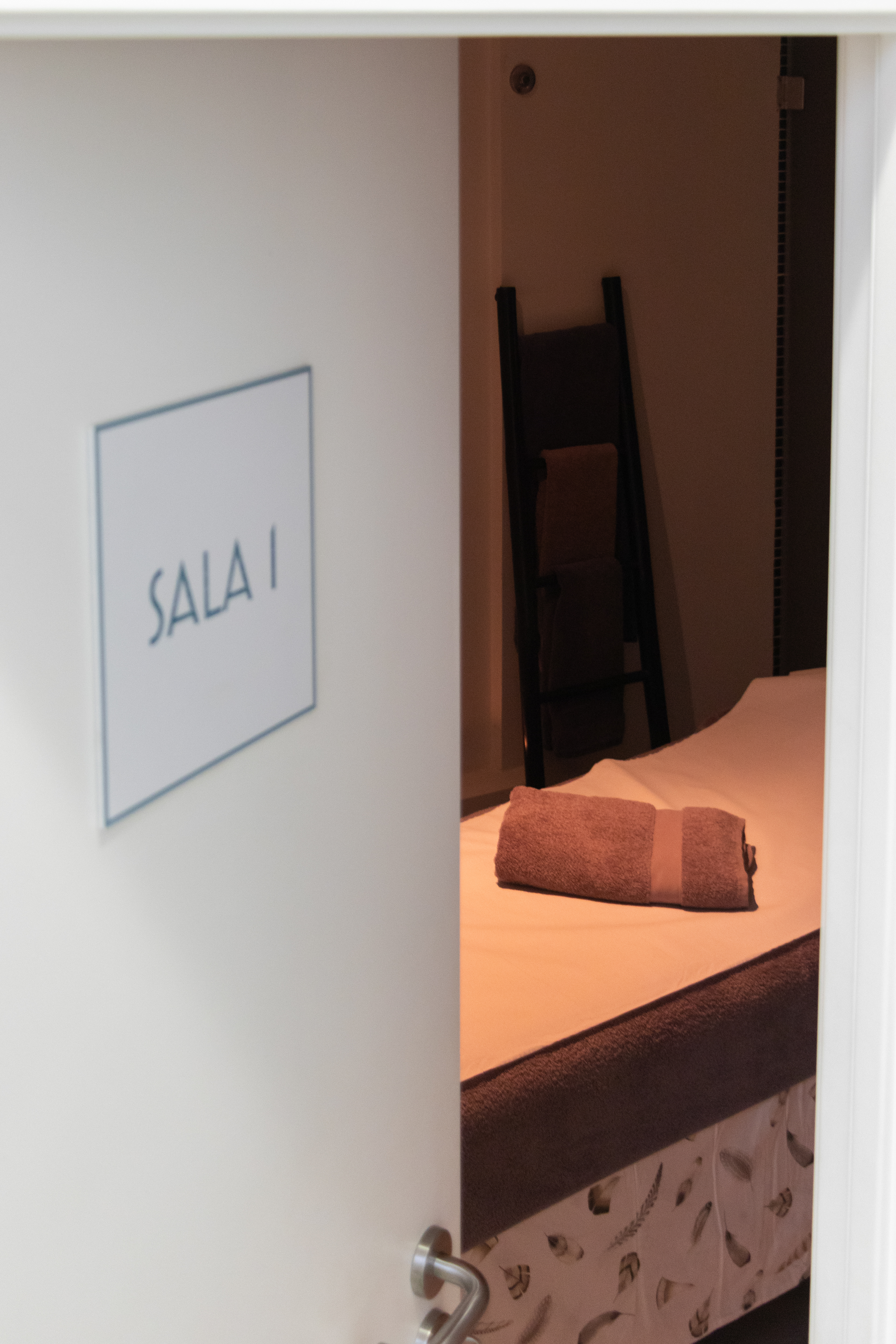 Sala 1 (4) - 2025