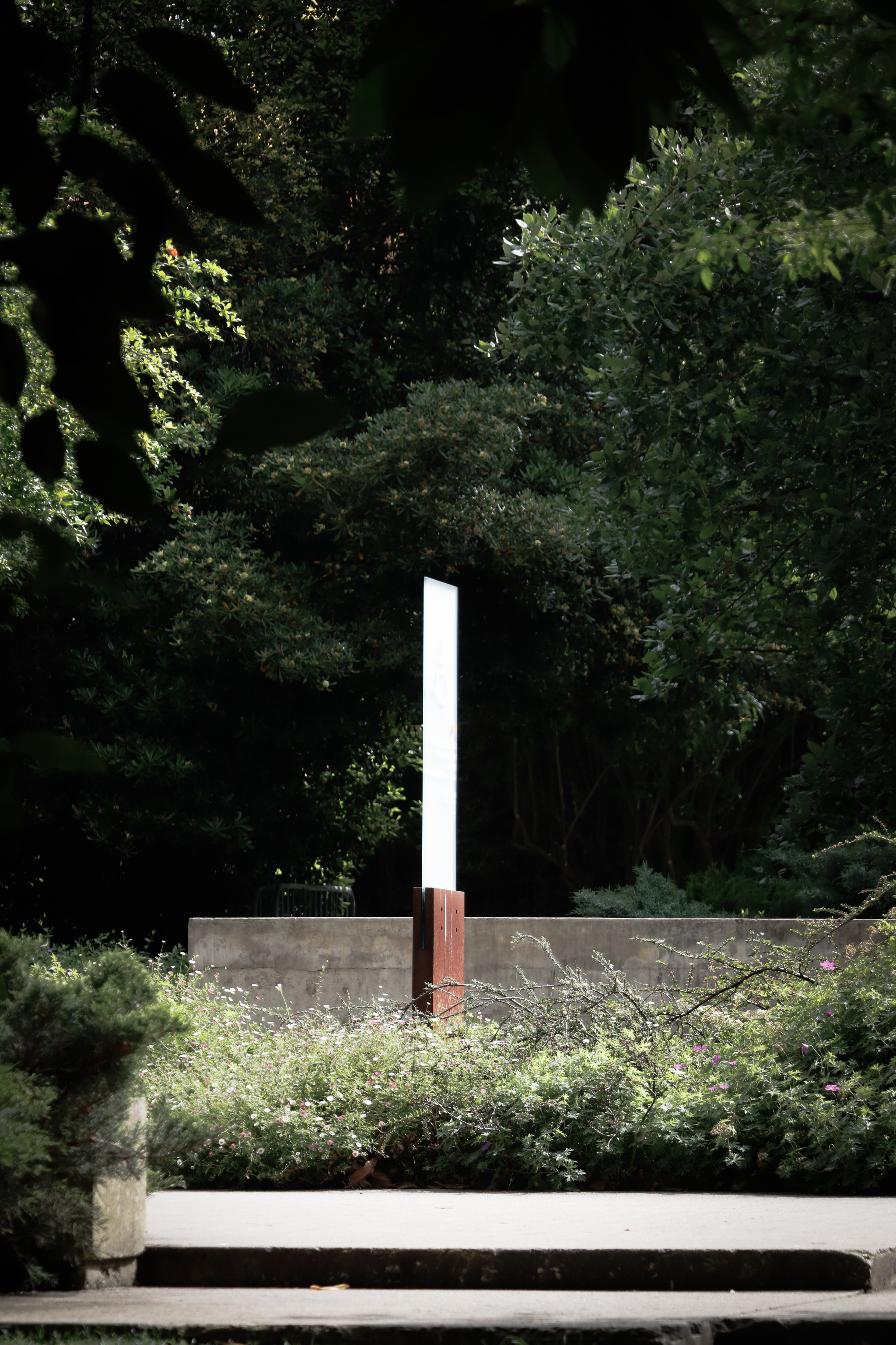 Jardim da Fundação Calouste Gulbenkian(2) - 2025