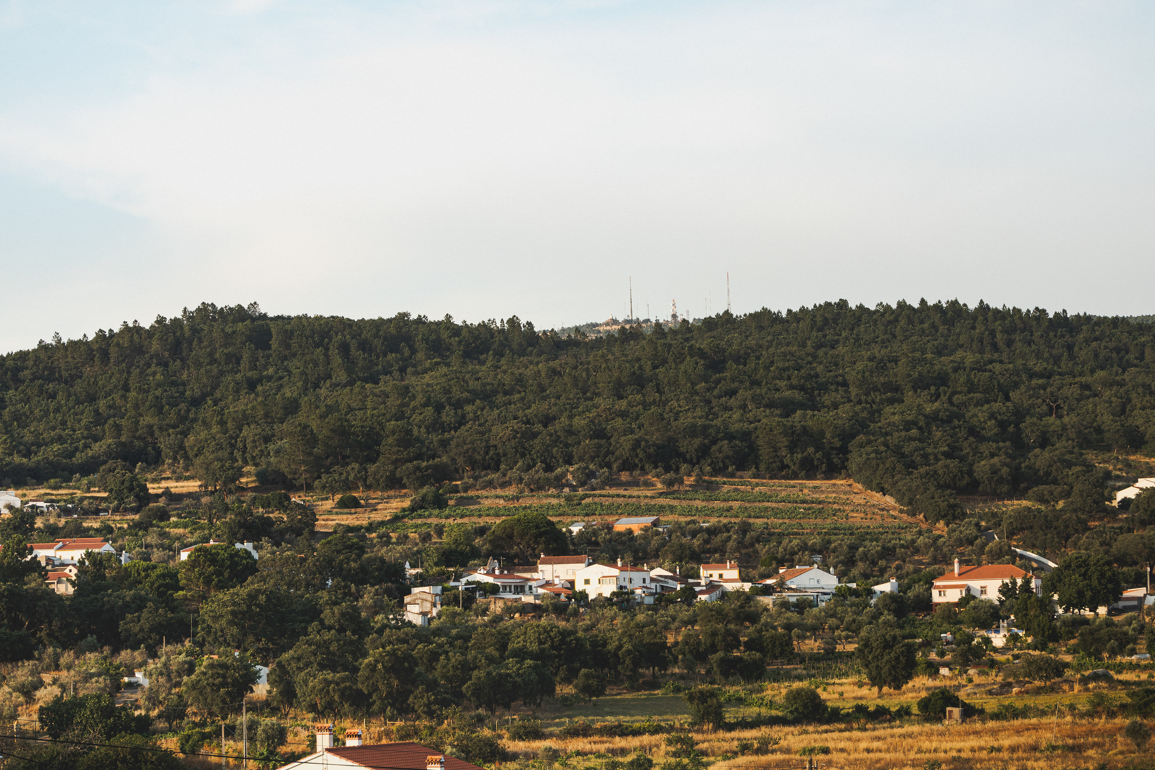Reguengo(2) - 2025