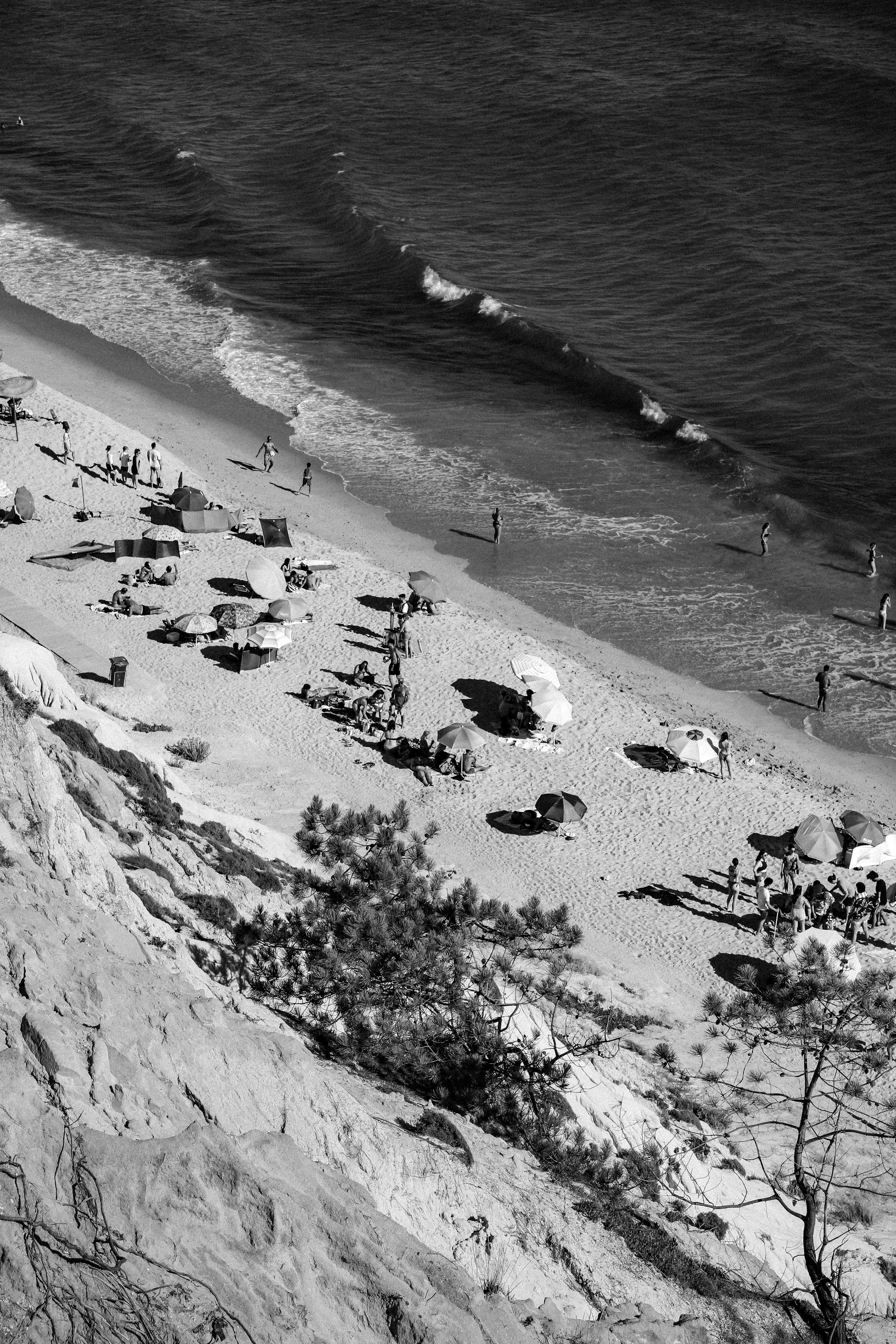 praia da falésia - 2024