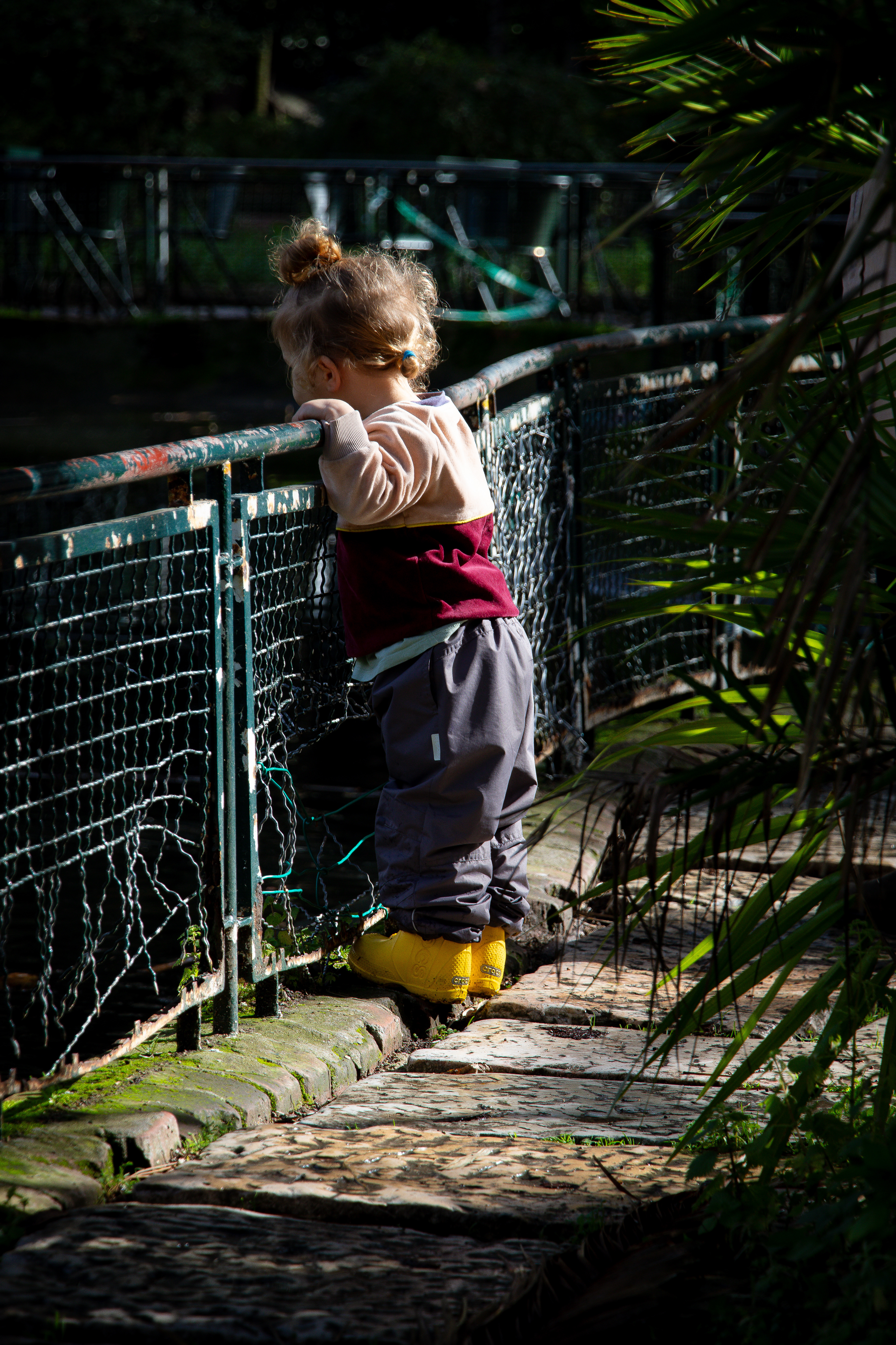 jardim da estrela(4) - 2025