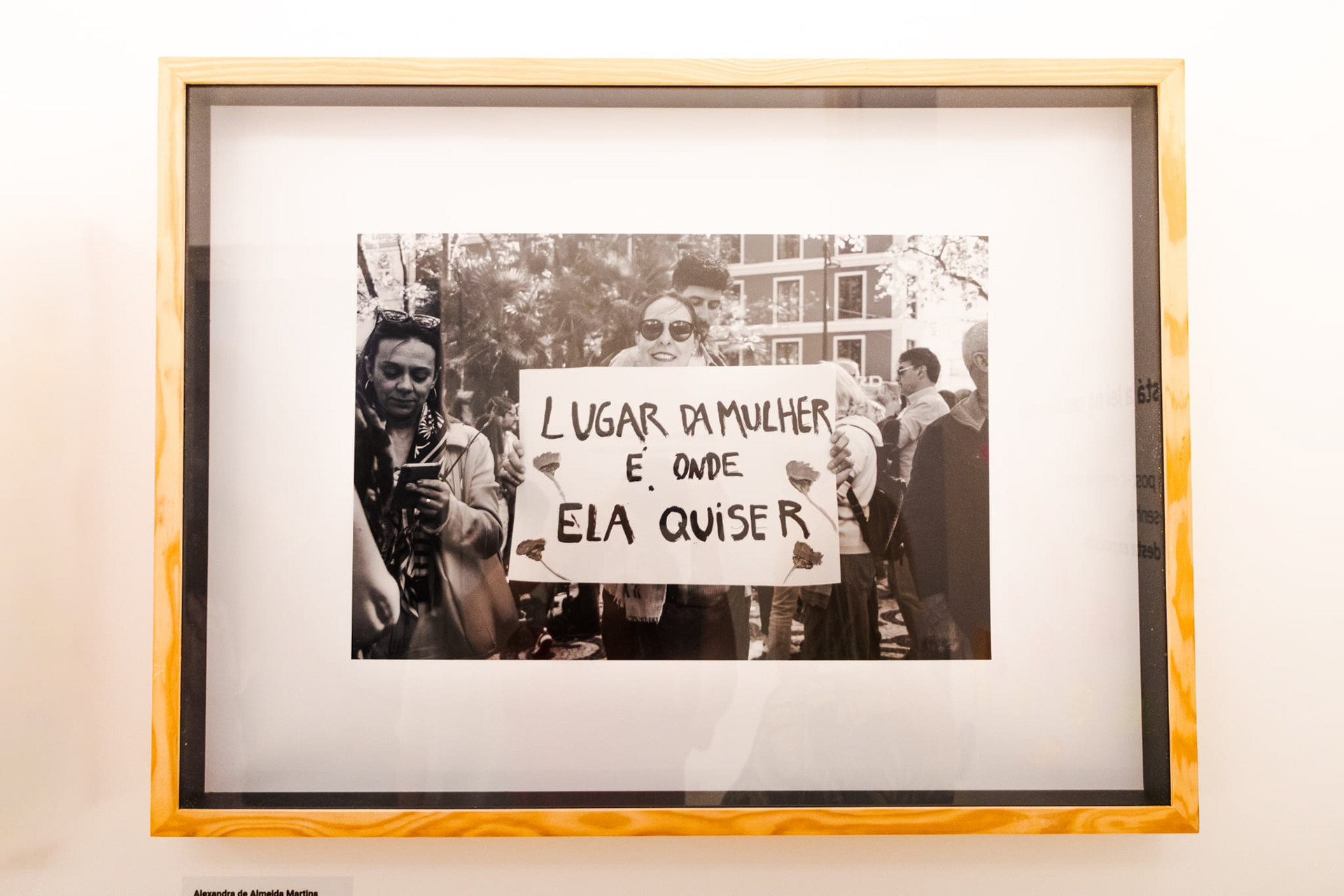 Exposição "Vamos fotografar a Lei" - 2025