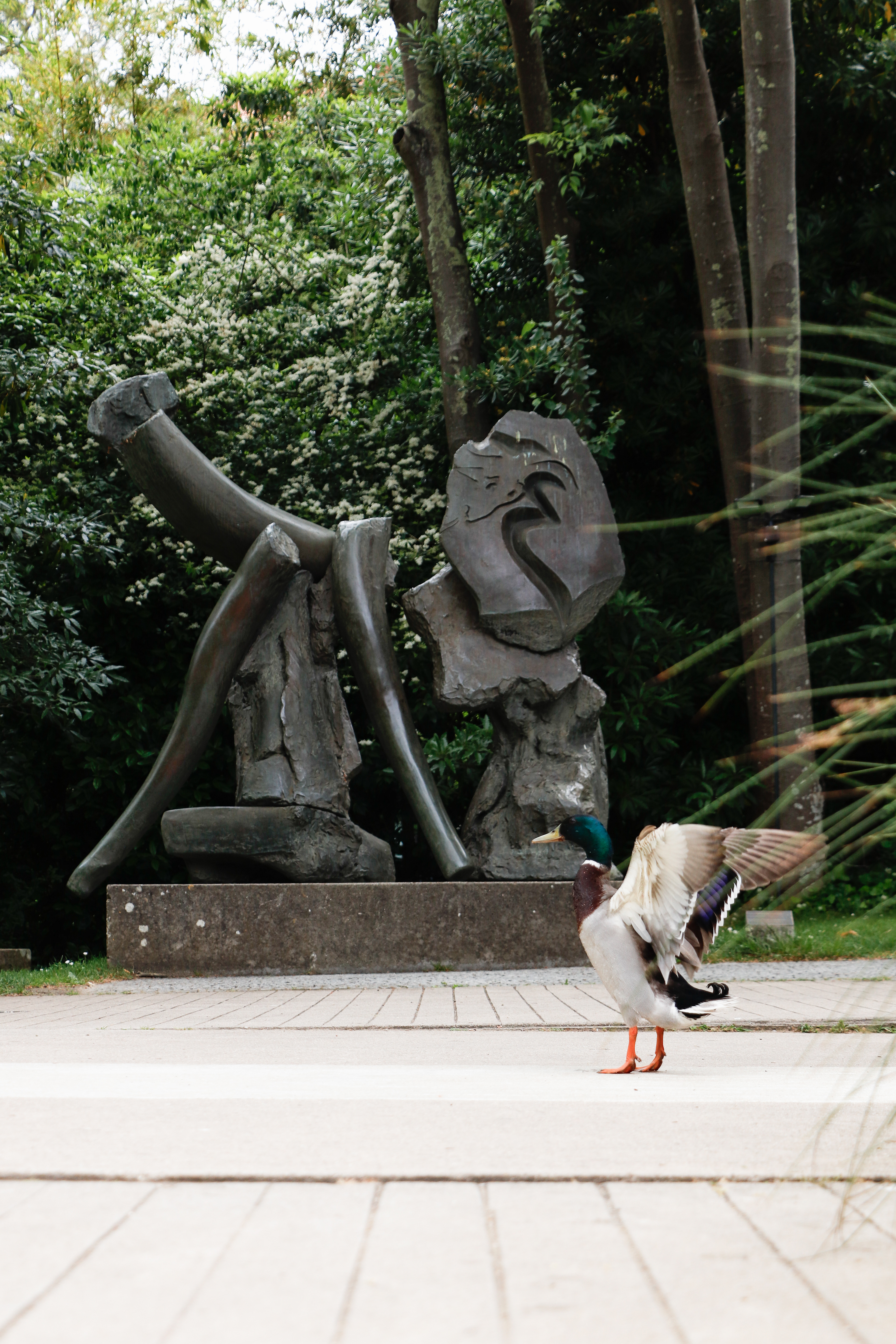 Jardim da Fundação Calouste Gulbenkian(1) - 2025