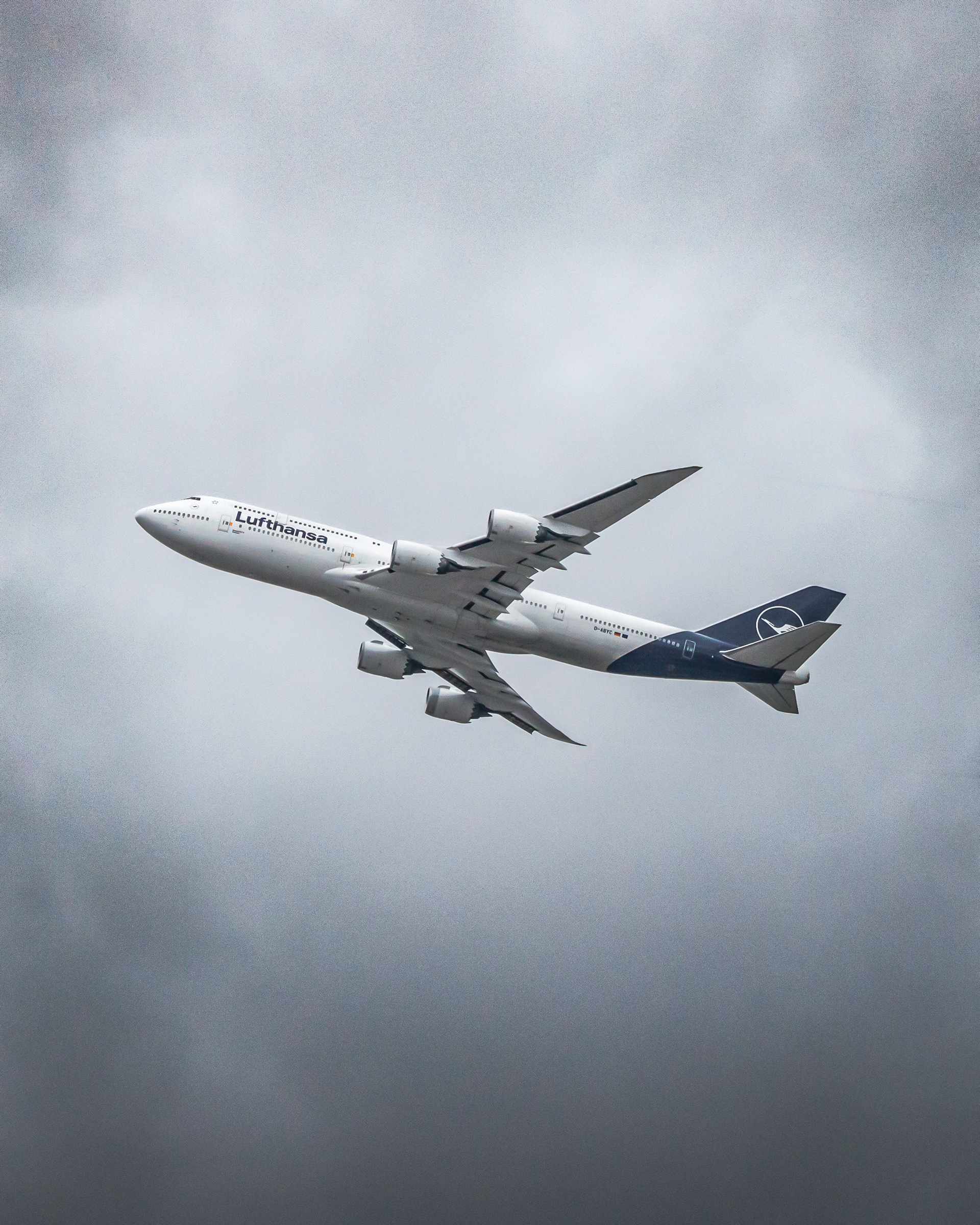 d-abyc - 2025