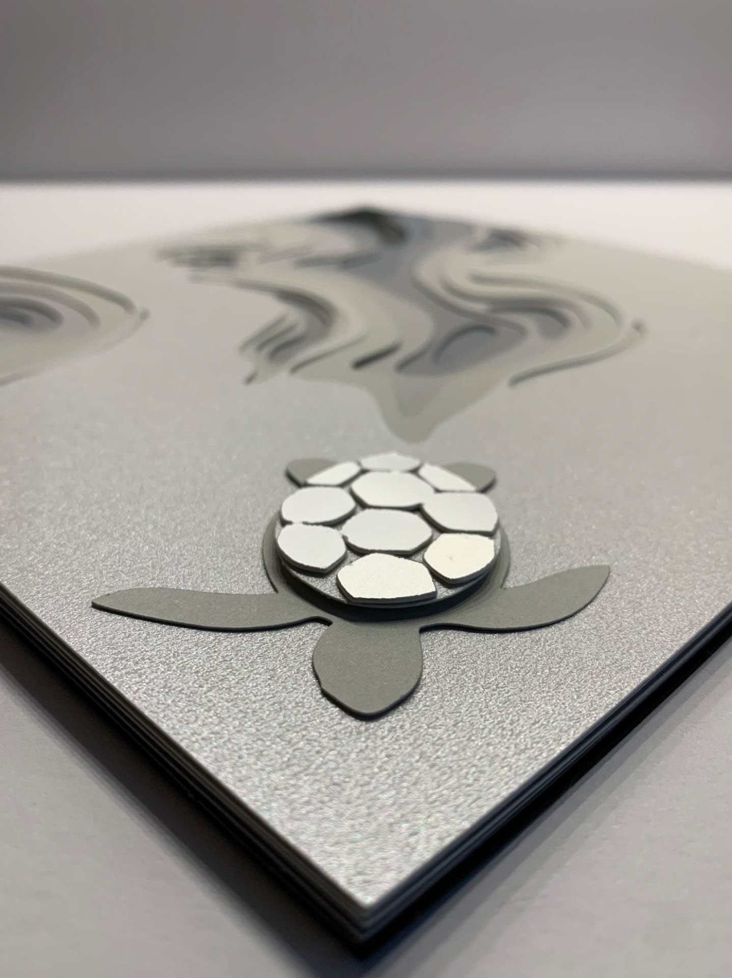 Sea turtle details