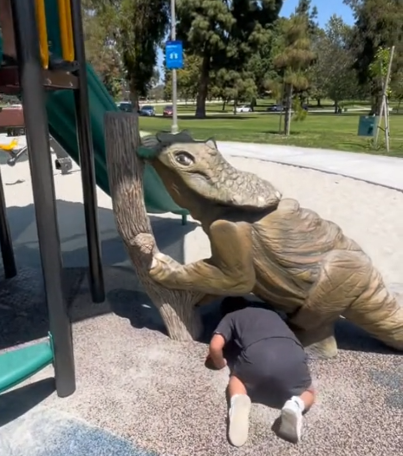 Real Life Installation of Baby Triceratops