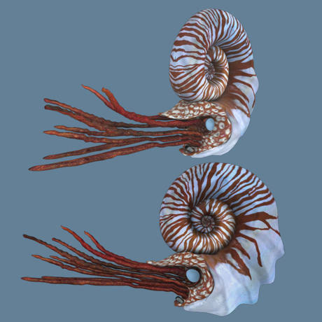 3ds Max Organic Modeling
