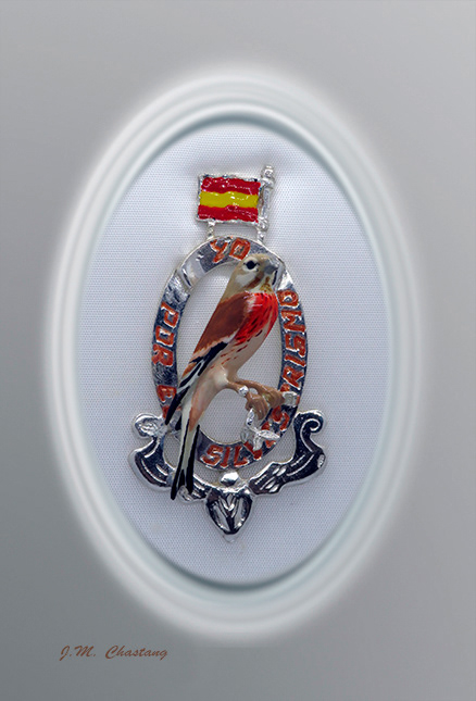 Pin Linnet Yo por el silvestrismo