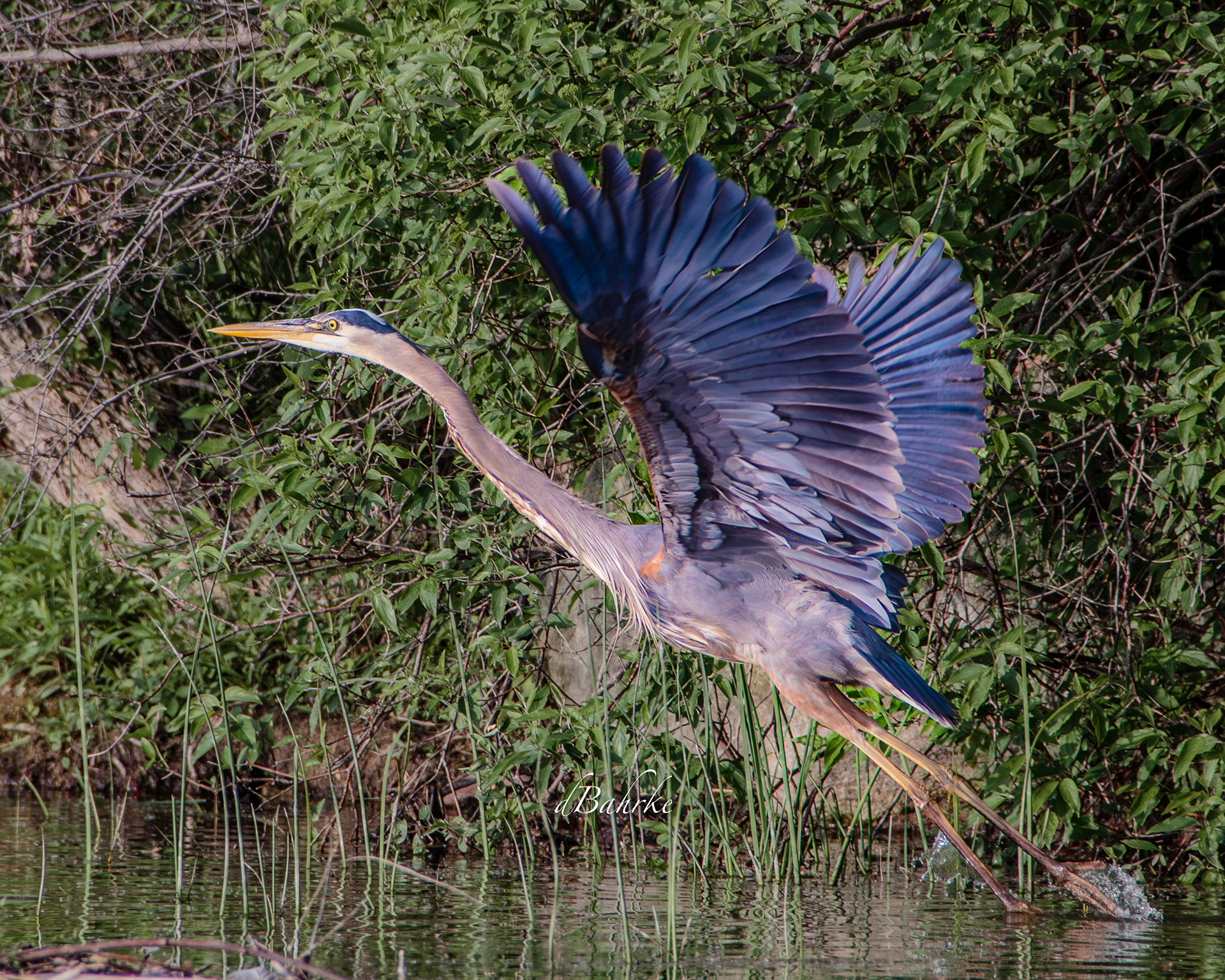 GBH/takeoff