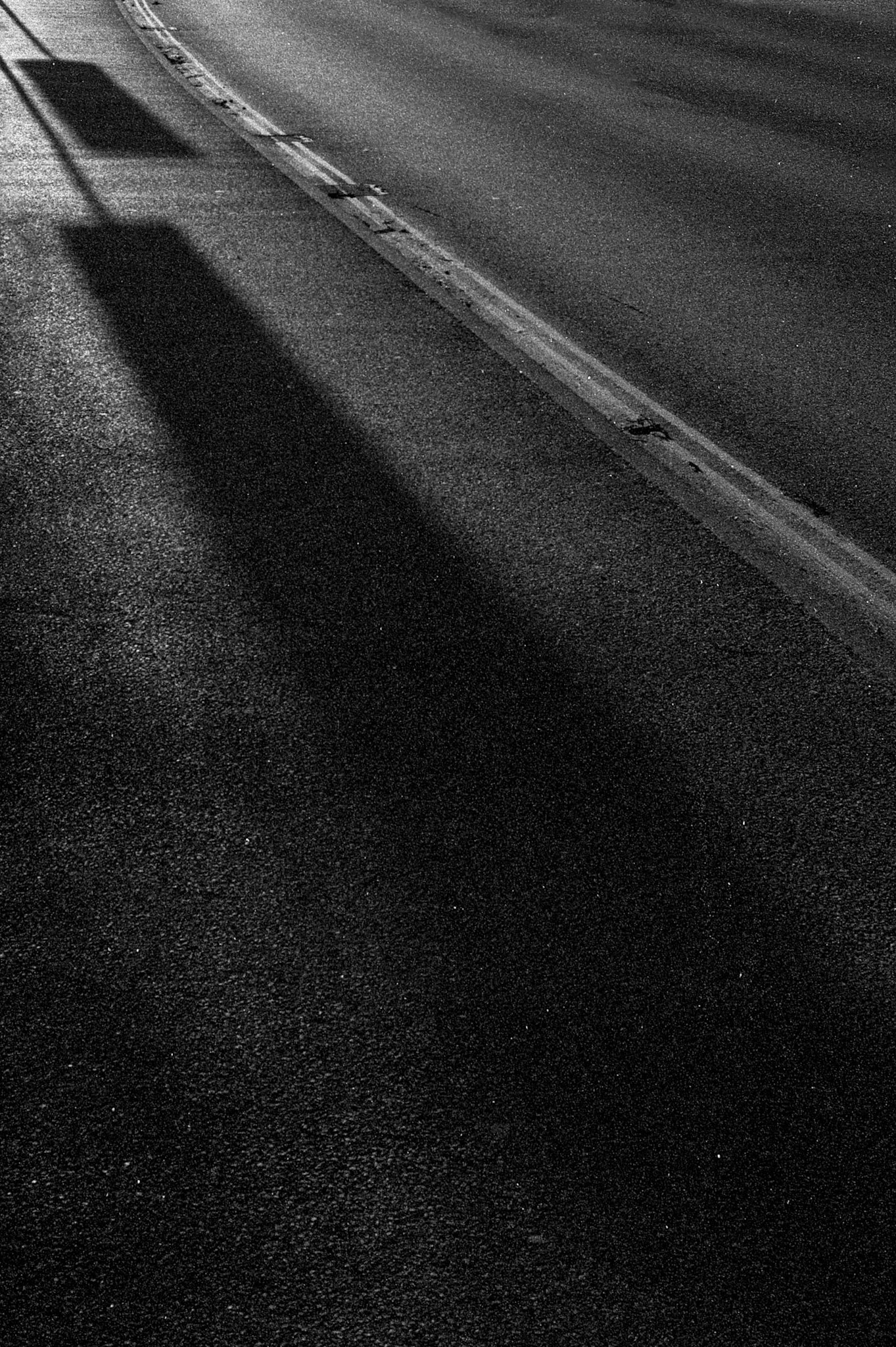 shadows 29