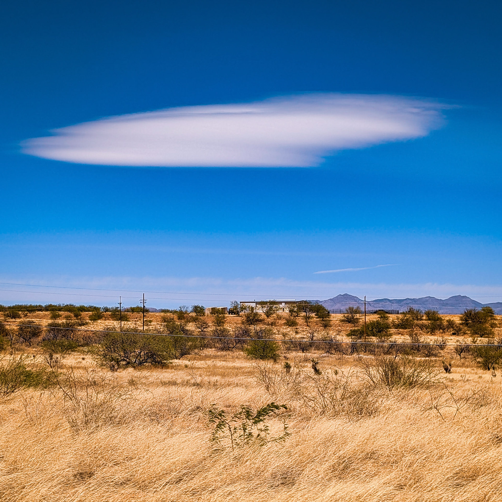 Lenticular clouds