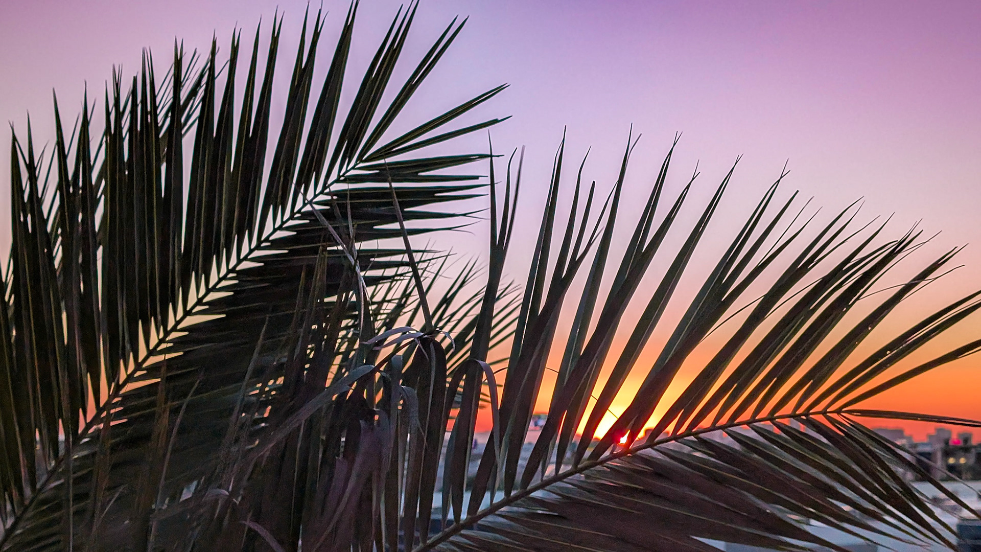 Sunset view from the hotel balcony in Phoenix