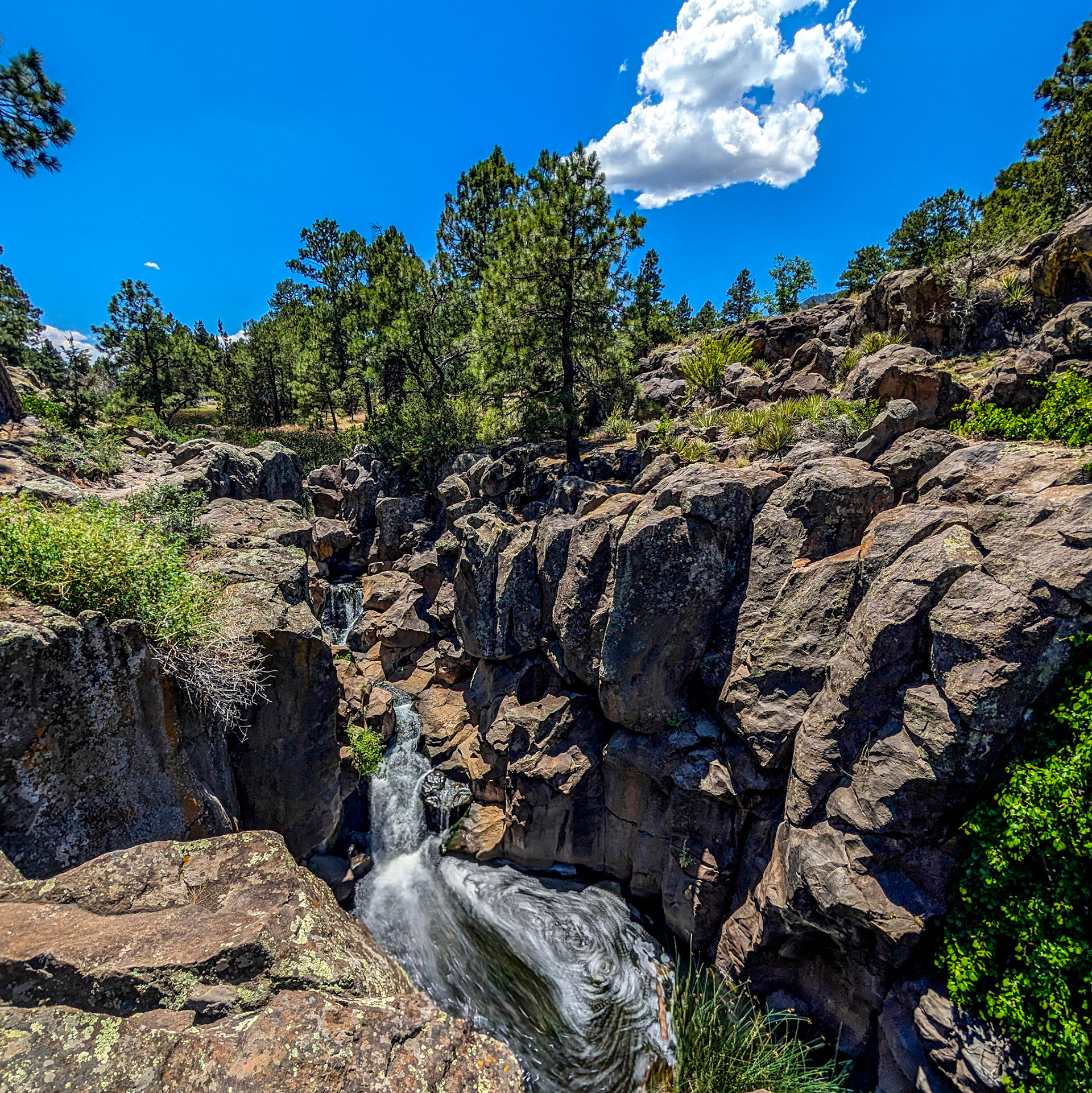 Waterfall at picture canyon park in Flagstaff AZ